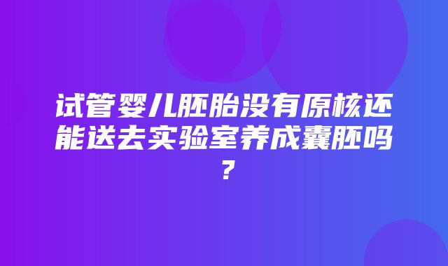 试管婴儿胚胎没有原核还能送去实验室养成囊胚吗？