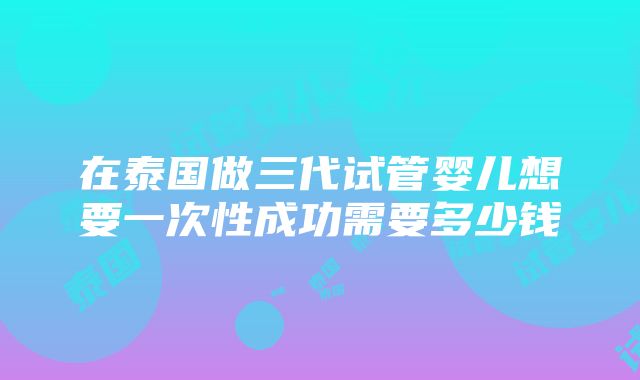 在泰国做三代试管婴儿想要一次性成功需要多少钱