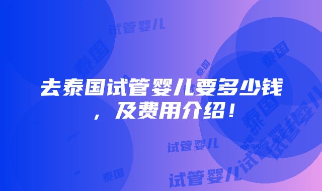 去泰国试管婴儿要多少钱，及费用介绍！