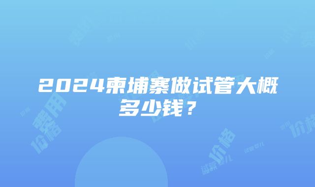 2024柬埔寨做试管大概多少钱？