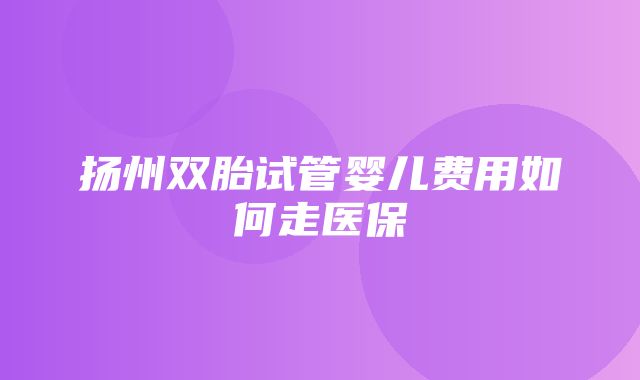 扬州双胎试管婴儿费用如何走医保