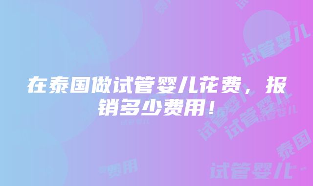 在泰国做试管婴儿花费，报销多少费用！