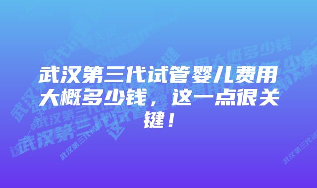 武汉第三代试管婴儿费用大概多少钱，这一点很关键！