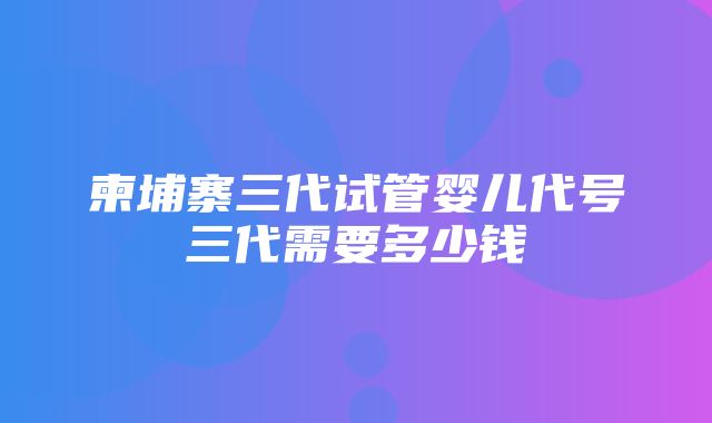 柬埔寨三代试管婴儿代号三代需要多少钱