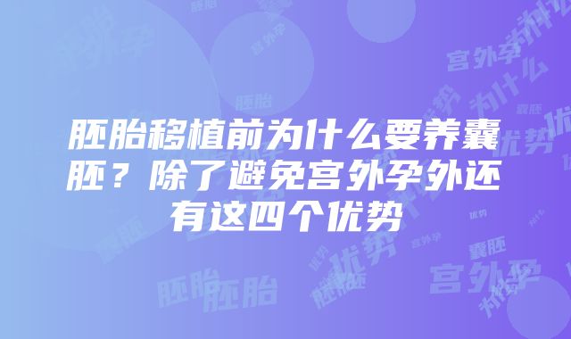 胚胎移植前为什么要养囊胚？除了避免宫外孕外还有这四个优势