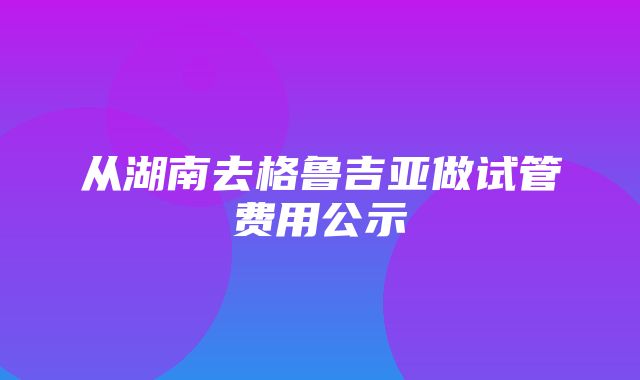 从湖南去格鲁吉亚做试管费用公示