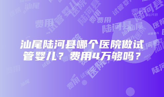 汕尾陆河县哪个医院做试管婴儿？费用4万够吗？