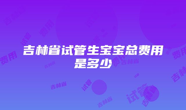 吉林省试管生宝宝总费用是多少