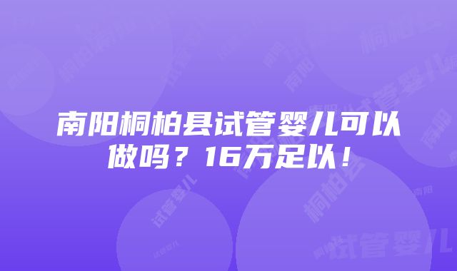 南阳桐柏县试管婴儿可以做吗？16万足以！