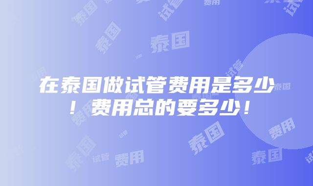 在泰国做试管费用是多少！费用总的要多少！