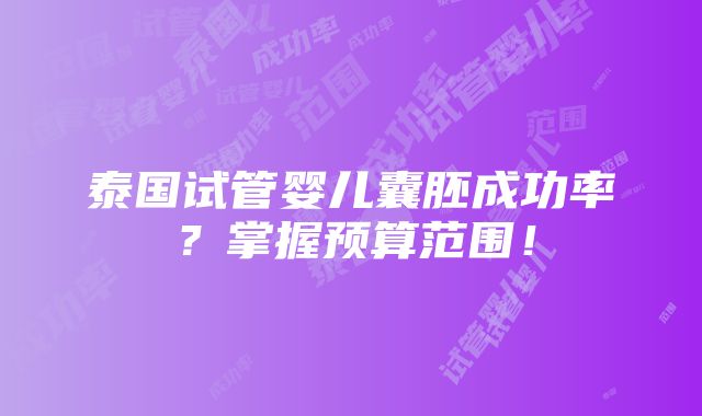 泰国试管婴儿囊胚成功率？掌握预算范围！