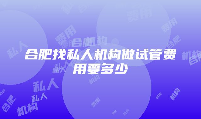 合肥找私人机构做试管费用要多少