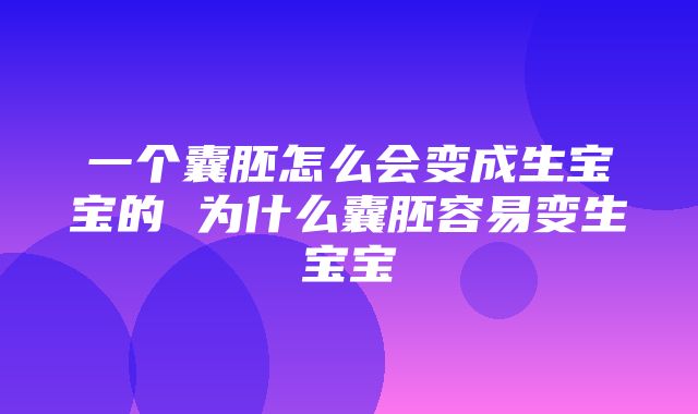 一个囊胚怎么会变成生宝宝的 为什么囊胚容易变生宝宝