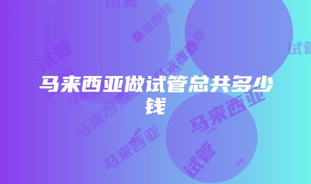 马来西亚做试管总共多少钱