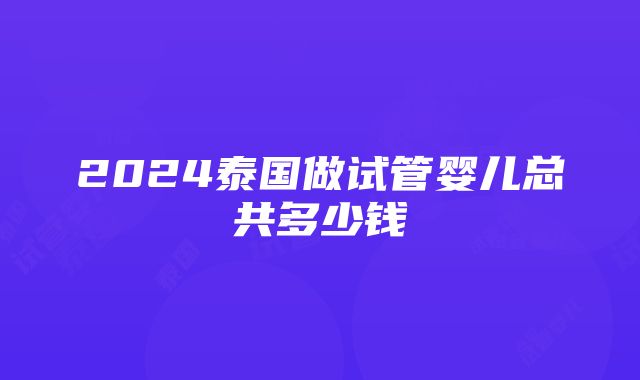 2024泰国做试管婴儿总共多少钱