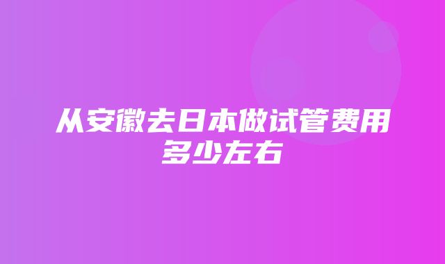 从安徽去日本做试管费用多少左右