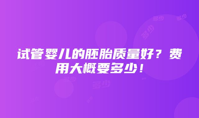 试管婴儿的胚胎质量好？费用大概要多少！