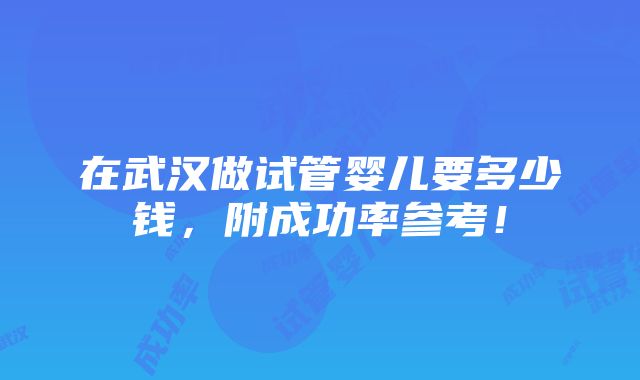 在武汉做试管婴儿要多少钱，附成功率参考！