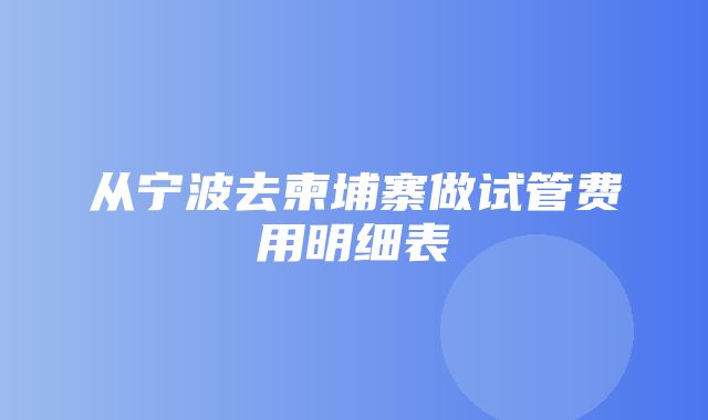 从宁波去柬埔寨做试管费用明细表