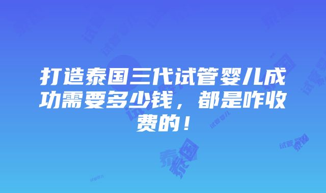 打造泰国三代试管婴儿成功需要多少钱，都是咋收费的！