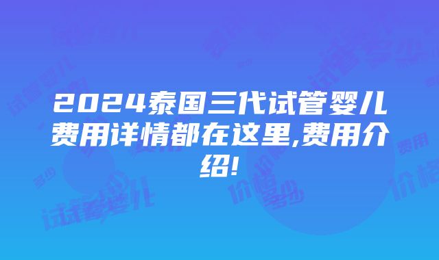 2024泰国三代试管婴儿费用详情都在这里,费用介绍!