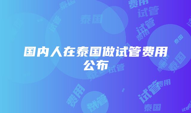 国内人在泰国做试管费用公布