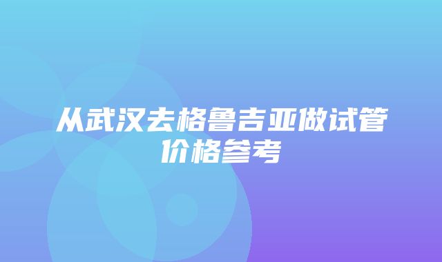 从武汉去格鲁吉亚做试管价格参考