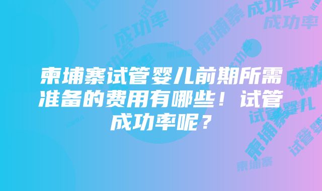 柬埔寨试管婴儿前期所需准备的费用有哪些！试管成功率呢？