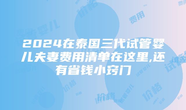 2024在泰国三代试管婴儿夫妻费用清单在这里,还有省钱小窍门