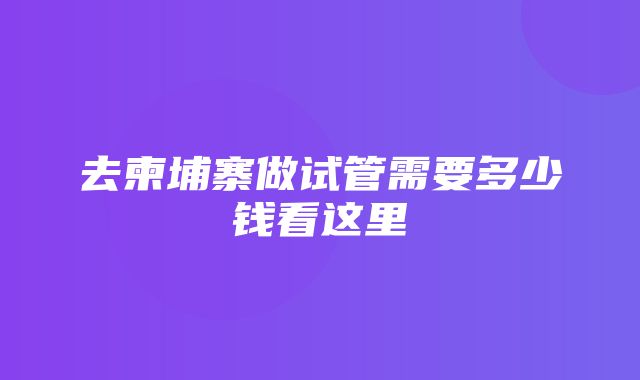 去柬埔寨做试管需要多少钱看这里