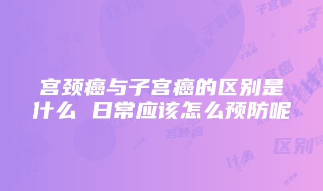 宫颈癌与子宫癌的区别是什么 日常应该怎么预防呢