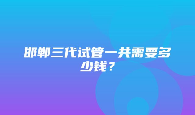 邯郸三代试管一共需要多少钱？