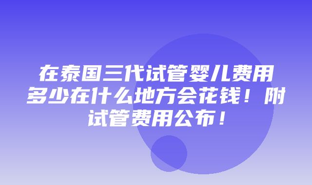 在泰国三代试管婴儿费用多少在什么地方会花钱！附试管费用公布！