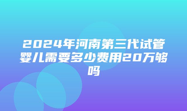 2024年河南第三代试管婴儿需要多少费用20万够吗