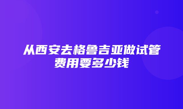 从西安去格鲁吉亚做试管费用要多少钱