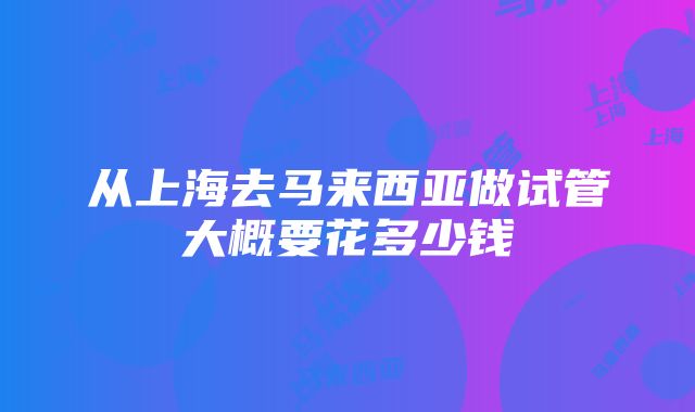 从上海去马来西亚做试管大概要花多少钱