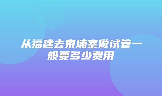 从福建去柬埔寨做试管一般要多少费用