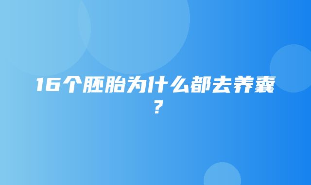 16个胚胎为什么都去养囊？