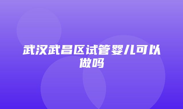 武汉武昌区试管婴儿可以做吗