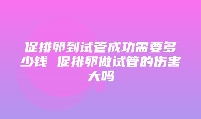 促排卵到试管成功需要多少钱 促排卵做试管的伤害大吗