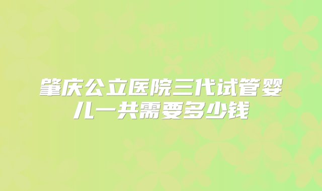 肇庆公立医院三代试管婴儿一共需要多少钱