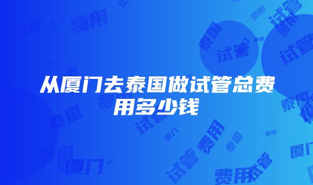 从厦门去泰国做试管总费用多少钱