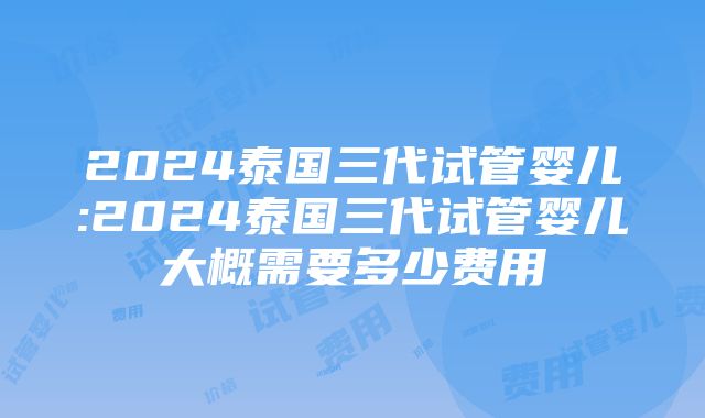 2024泰国三代试管婴儿:2024泰国三代试管婴儿大概需要多少费用