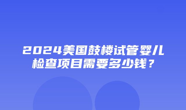 2024美国鼓楼试管婴儿检查项目需要多少钱？