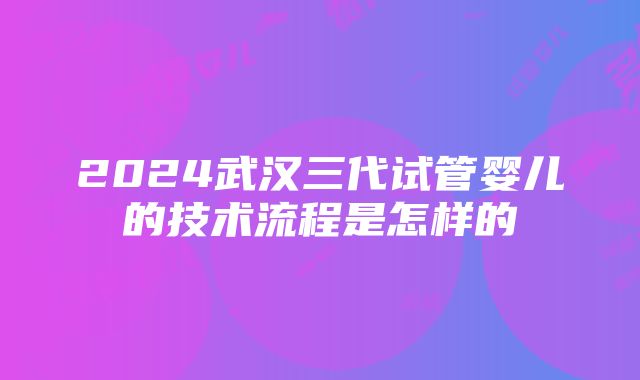 2024武汉三代试管婴儿的技术流程是怎样的