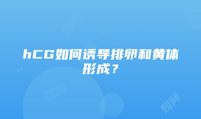 hCG如何诱导排卵和黄体形成？