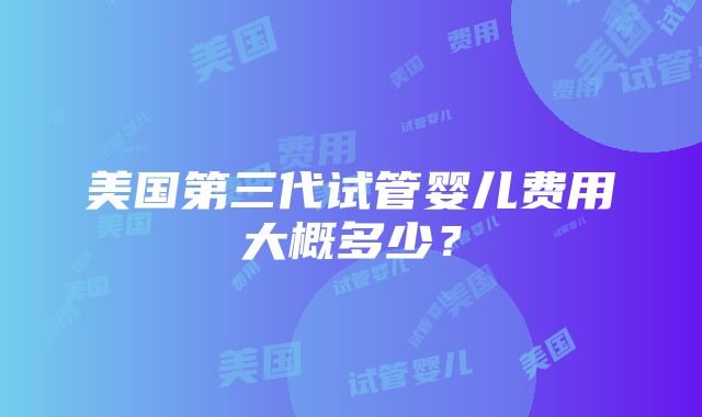 美国第三代试管婴儿费用大概多少？