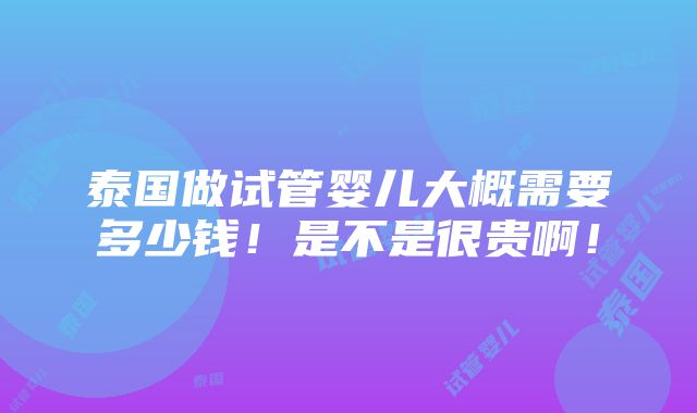 泰国做试管婴儿大概需要多少钱！是不是很贵啊！