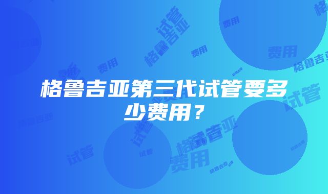 格鲁吉亚第三代试管要多少费用？