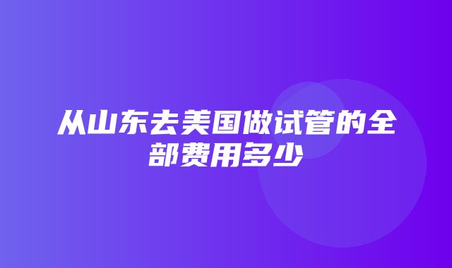 从山东去美国做试管的全部费用多少